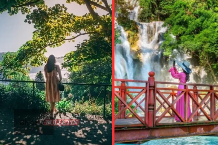 Scenic view of Jewu Park showcasing its lush forests, serene lake, and traditional Korean pavilion.