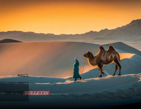 Largest desert in Asia nyt - The vastness of the Gobi Desert showcases its unique climate and wildlife.