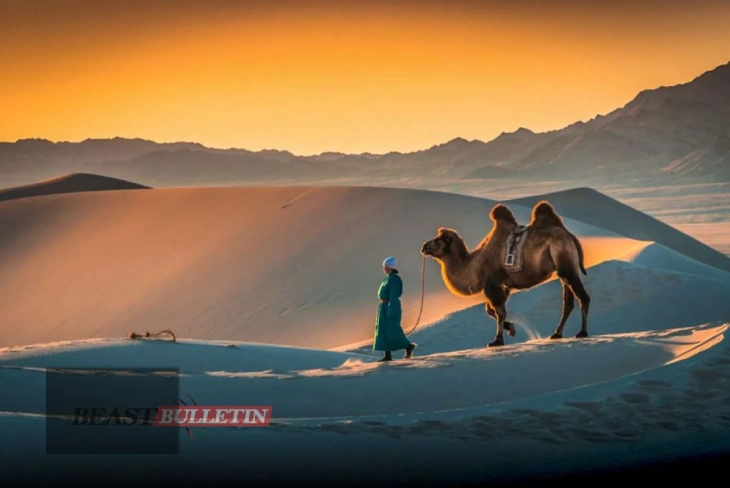 Largest desert in Asia nyt - The vastness of the Gobi Desert showcases its unique climate and wildlife.